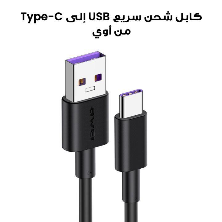Awei 5A USB Fast Charging Cable USB to Type C 40W Data USB C Cable | CL-77T