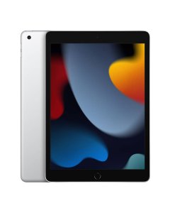 Apple iPad 10.2-inch Wi-Fi + Cellular 256GB - Silver(MK4H3AB/A)